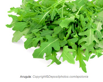 Arugula. Canadian academy of sports nutrition