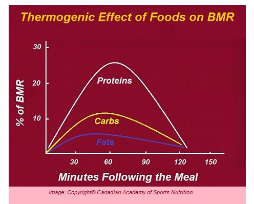 Body metabolism 5 Canadian Academy of Sports Nutrition caasn