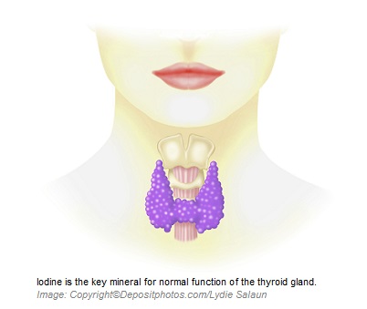 Iodine 1 Canadian Academy of Sports Nutrition caasn