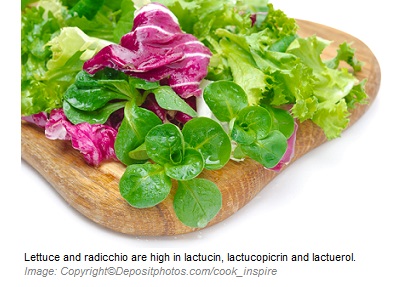 Lactucin 1 Canadian Academy of Sports Nutrition caasn