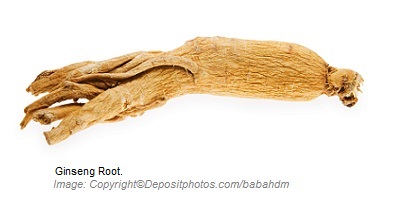 Sports Performance Enhancers American Ginseng 1 Canadian Academy of Sports Nutrition caasn