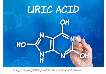 Gout 1 Canadian Academy of Sports Nutrition caasn